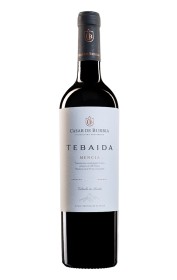 Tebaida 2017