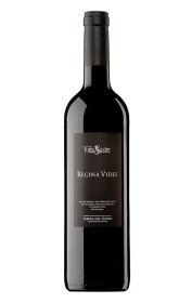 Regina Vides 2020
