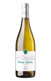 Pinna Fidelis Verdejo 2023