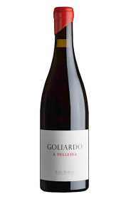 Goliardo A Telleira Caiño 2020