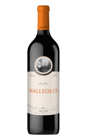 Malleolus 2022