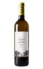 Senda de los Olivos Rueda 2023