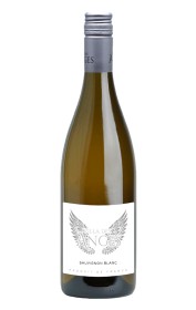 Villa des Anges Sauvignon Blanc 2022