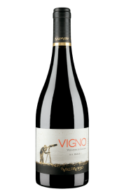 Valdivieso Éclat Vigno Vignadores de Carignan 2019
