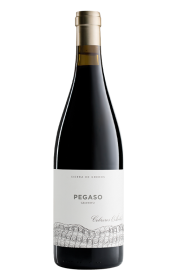 Pegaso Granito 2021