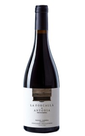 La Forcallà de Antonia 2022